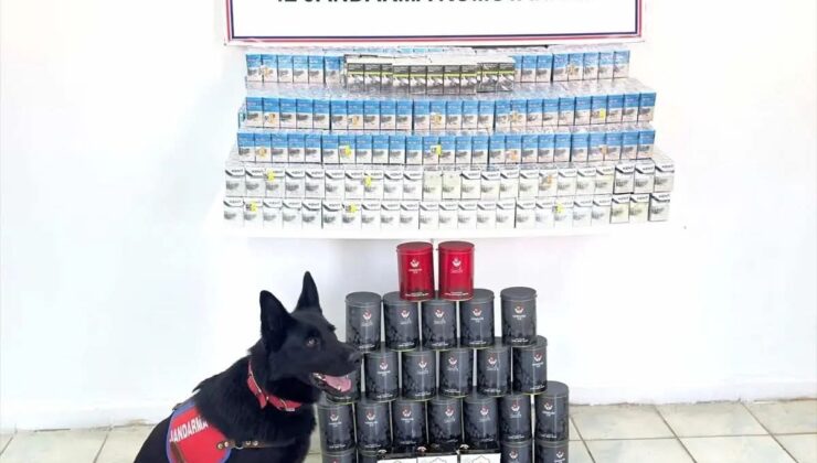 Van Erciş’te Jandarma’dan Kaçak Sigara ve Çay Operasyonu