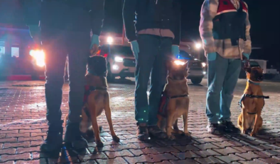 İstanbul Merkezli Suç Örgütlerine Dev Operasyon: 17 Gözaltı