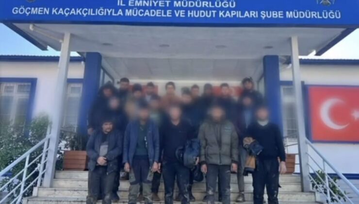 Hayvan Dışkısıyla Kamufle Edildiler