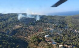 Antalya Kaş’ta Orman Yangını: Havadan Ve Karadan Müdahale Başlatıldı
