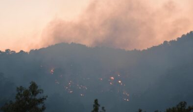 Kemer’de Çıkan Orman Yangını Ekiplerin Müdahalesiyle Kontrol Altına Alındı